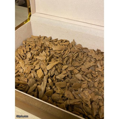 عود مروكي أصقون