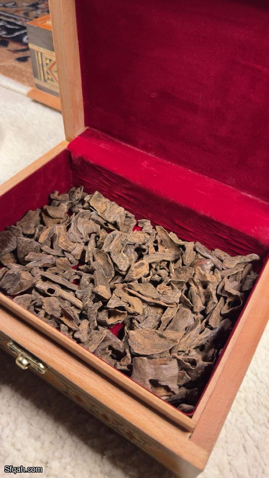 عود فلبيني نادر