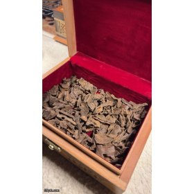 عود فلبيني نادر