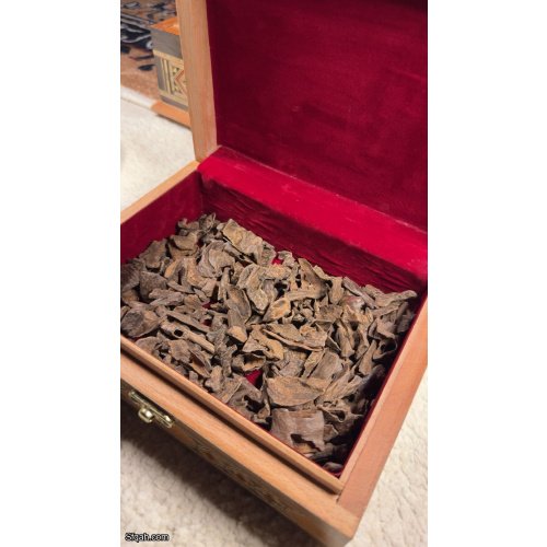 عود فلبيني نادر