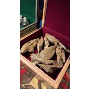 عود مروكي أصقون قديم