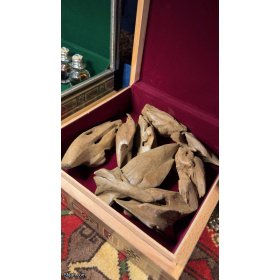 عود مروكي أصقون قديم