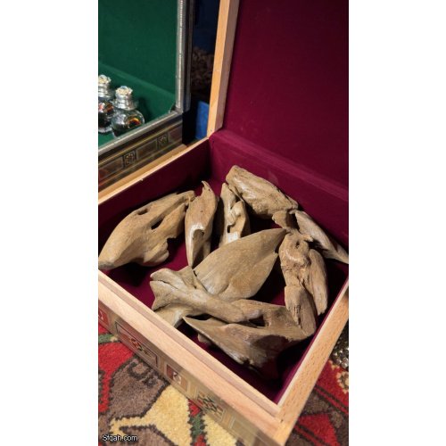 عود مروكي أصقون قديم