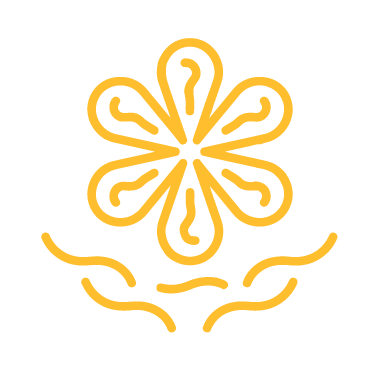 Image: زعفران
